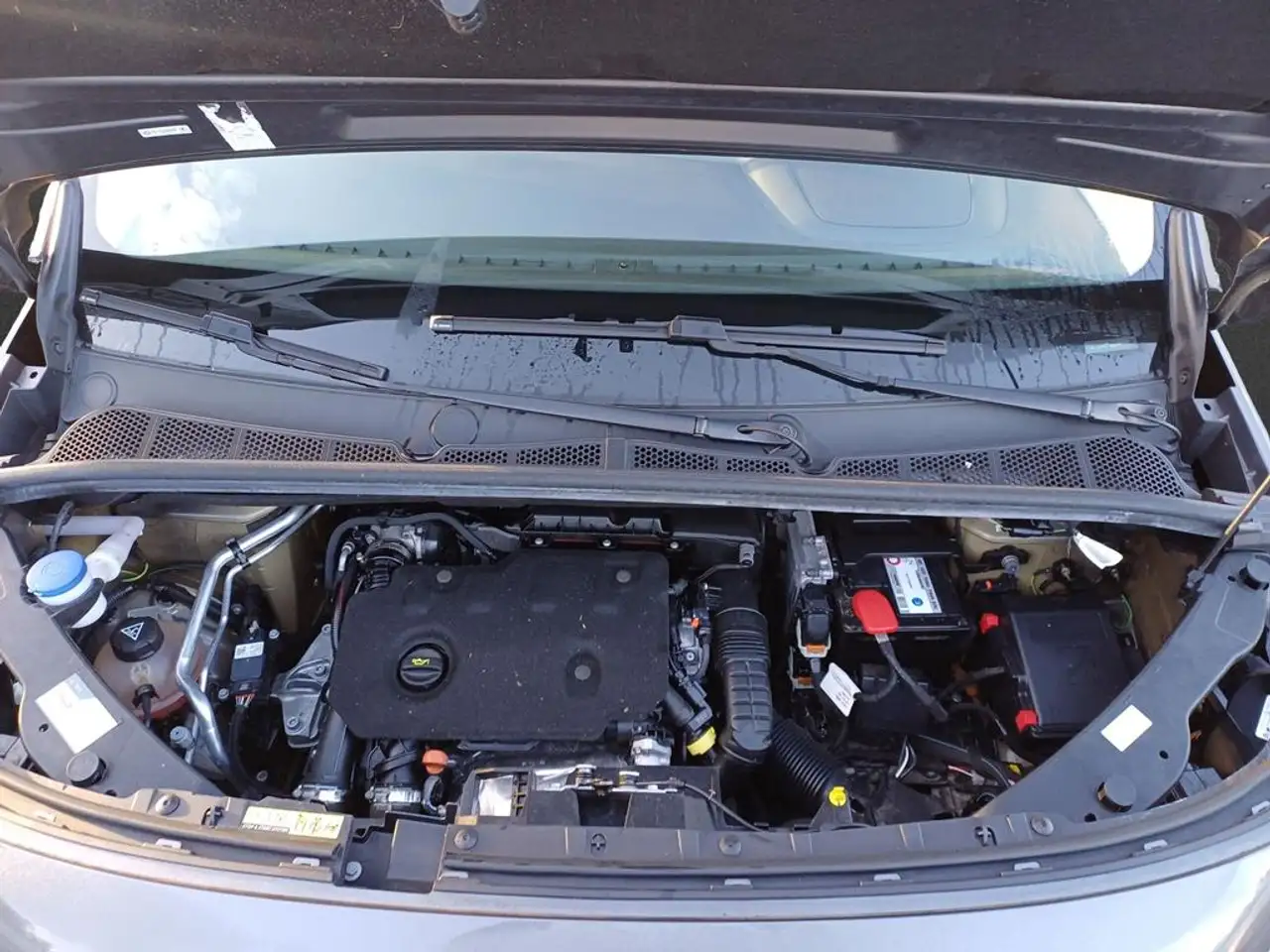 Citroen Berlingo Berlingo Combi — photo 5 sur 13