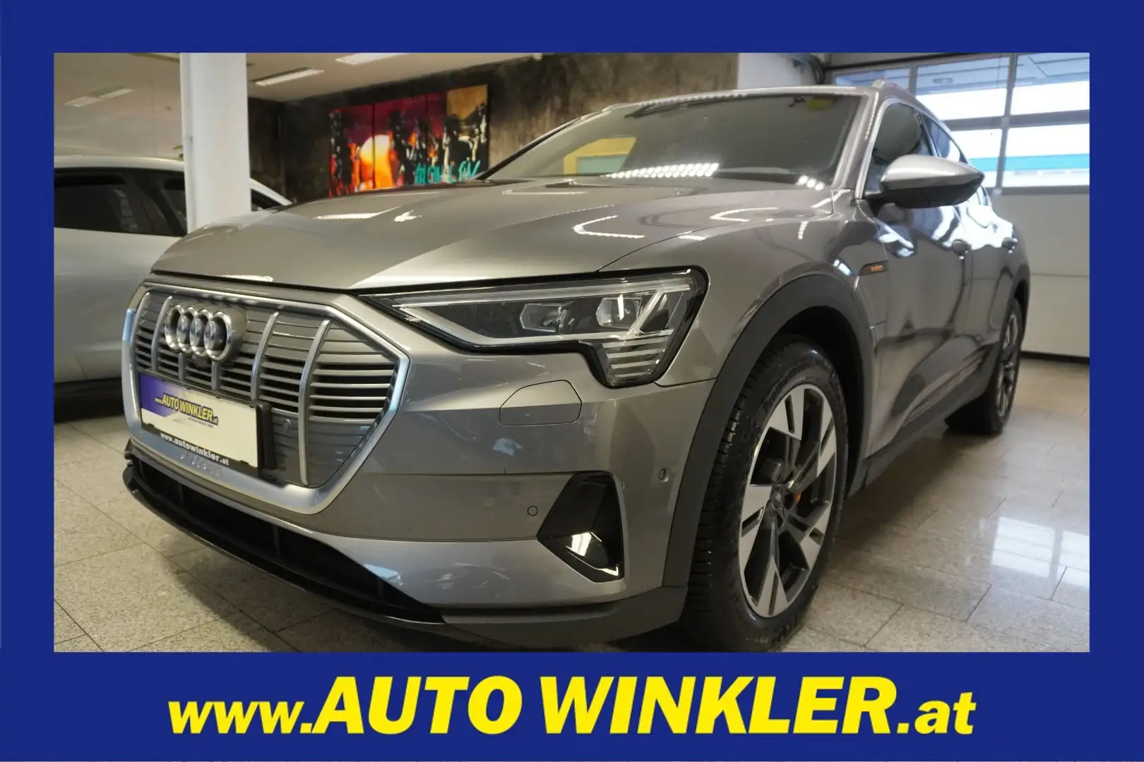 Audi e-tron 50 quattro S-Line/Virtual/Navi/LED Grau - 1