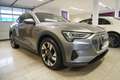 Audi e-tron 50 quattro S-Line/Virtual/Navi/LED Grau - thumbnail 3