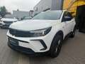 Opel Grandland X Grandland Bus. Edition 1.5 AT,AHK,RFK,TWW,SHz Zilver - thumbnail 4