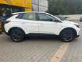 Opel Grandland X Grandland Bus. Edition 1.5 AT,AHK,RFK,TWW,SHz Zilver - thumbnail 2