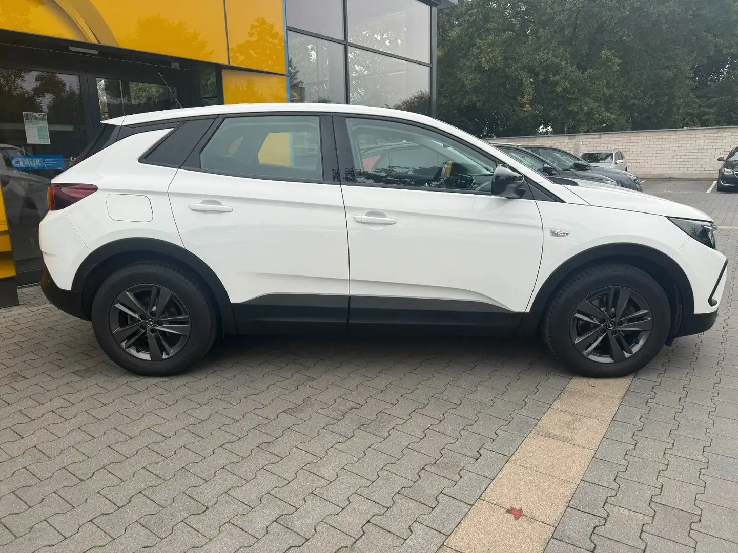 Opel Grandland X Grandland Bus. Edition 1.5 AT,AHK,RFK,TWW,SHz Zilver - 2