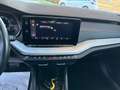 Skoda Octavia 4x4 AHV SHZ MULTI VIRTUELL Silber - thumbnail 18