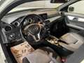 Mercedes-Benz C 250 250CDI BE Avantgarde 4M 7G Plus Weiß - thumbnail 19