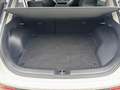 Kia Niro 1.6 GDi PHEV 171pk DCT6 ExecutiveLine | Stoelkoeli Blanc - thumbnail 11