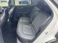 Kia Niro 1.6 GDi PHEV 171pk DCT6 ExecutiveLine | Stoelkoeli Blanc - thumbnail 10
