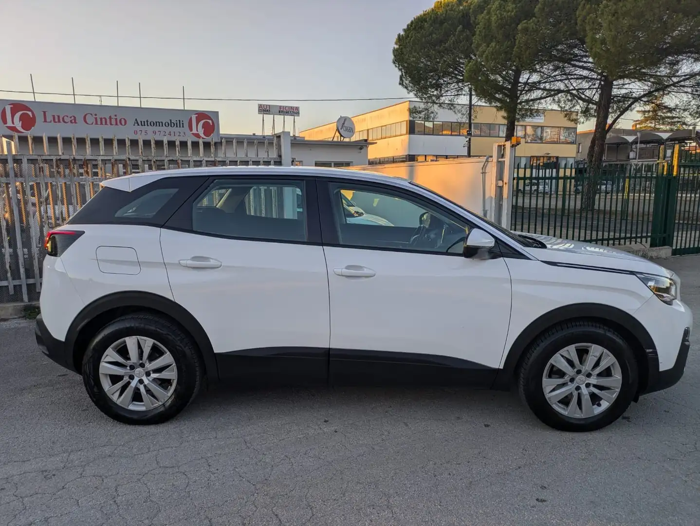 Peugeot 3008 3008 II 2016 1.6 bluehdi Business s Bianco - 2