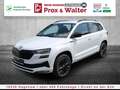 Skoda Karoq 1.5 TSI DSG SportLine LED+KAMERA+NAVI+AHK Wit - thumbnail 2