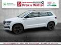 Skoda Karoq 1.5 TSI DSG SportLine LED+KAMERA+NAVI+AHK Wit - thumbnail 3