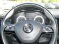 Skoda Kodiaq Style 4x4*CANTON*NAVI*KAMERA*HZVR Noir - thumbnail 13