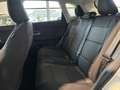 MG ZS Standard 1.5 Grün - thumbnail 2