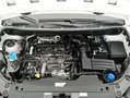 Volkswagen Caddy IV 2.0 TDI Blanco - thumbnail 20