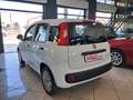 Fiat Panda 1.0 firefly hybrid 70 cv S Bianco - thumbnail 5
