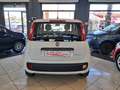 Fiat Panda 1.0 firefly hybrid 70 cv S Bianco - thumbnail 6