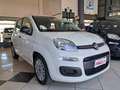 Fiat Panda 1.0 firefly hybrid 70 cv S Bianco - thumbnail 4