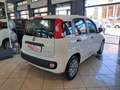 Fiat Panda 1.0 firefly hybrid 70 cv S Bianco - thumbnail 2