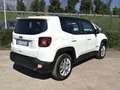 Jeep Renegade Renegade1.6 mjt Limited 130cv Bicolore Bianco - thumbnail 3
