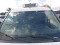 Fiat Ducato 1.3mjt 95cv FRIGO THERMOKING Anno 2021 Bianco - thumbnail 6