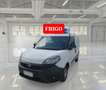 Fiat Ducato 1.3mjt 95cv FRIGO THERMOKING Anno 2021 Bianco - thumbnail 1