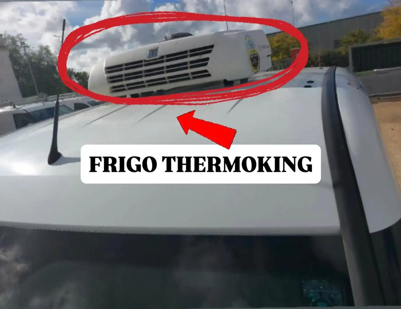 Fiat Ducato 1.3mjt 95cv FRIGO THERMOKING Anno 2021 Bianco - 2