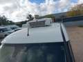 Fiat Ducato 1.3mjt 95cv FRIGO THERMOKING Anno 2021 Bianco - thumbnail 5