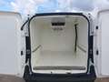 Fiat Ducato 1.3mjt 95cv FRIGO THERMOKING Anno 2021 Bianco - thumbnail 4