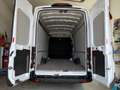 Ford Transit 2.0CDTi Kasten 350 L4 H3 Trend RFK* Techn.Paket 10 Blanco - thumbnail 8
