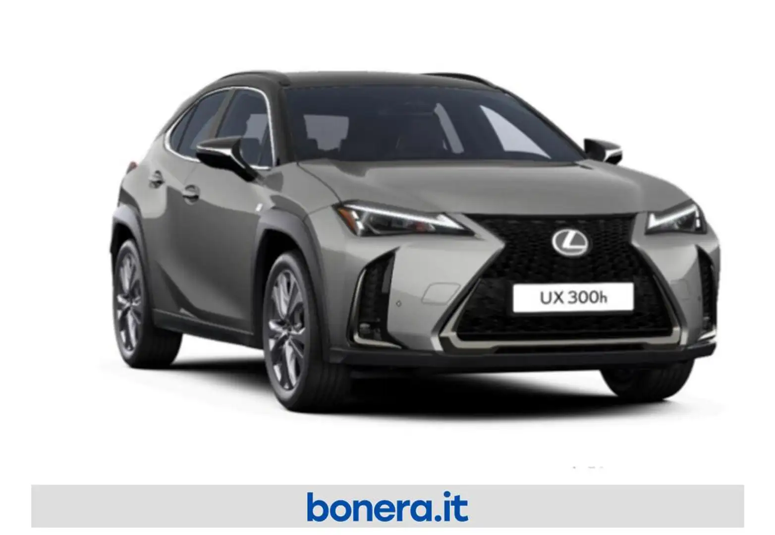 Lexus UX 300h 2.0 F-Design 4wd cvt Grigio - 2