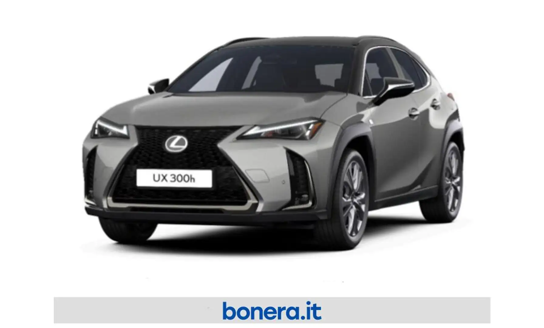 Lexus UX 300h 2.0 F-Design 4wd cvt Grigio - 1