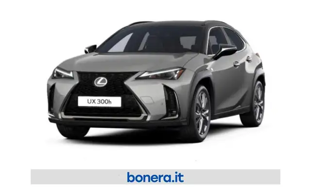 Lexus UX 300h 2.0 F-Design 4wd cvt