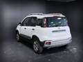 Fiat Panda Cross 1.3 MJT S&S 4x4 Bianco - thumbnail 7