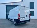 Fiat Ducato Maxi LANG Grossr.-Kasten 35 L4H2 RS:4035 Weiß - thumbnail 18