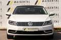 Volkswagen CC 4Motion|Pano|Navi|R.Kamera|DCC|F1|SHZ|MFL Weiß - thumbnail 2