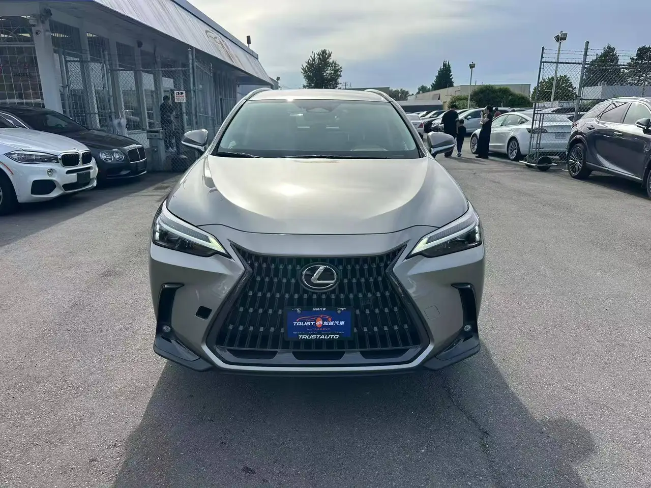 Lexus NX photo Lexus NX