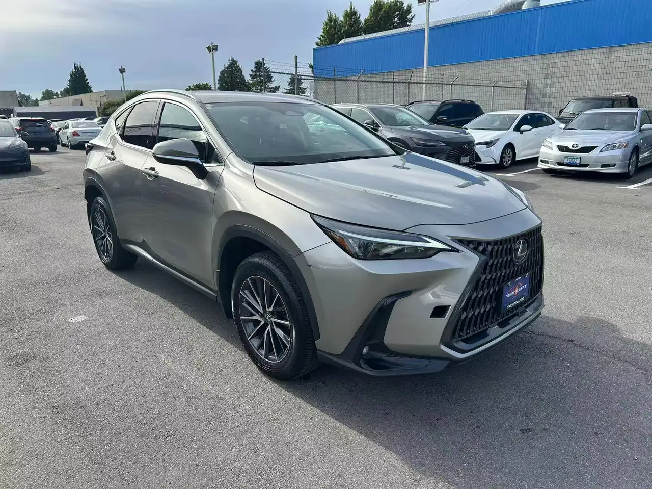 Lexus NX photo Lexus NX