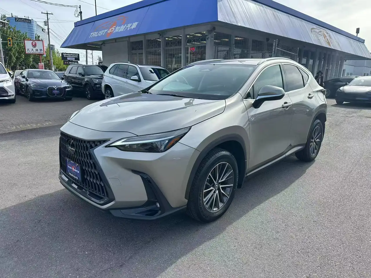 2023 Lexus NX photo 2023 Lexus NX