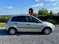 Ford Fiesta Fiesta 1.4 Turbo TDCi Trend Grigio - thumbnail 8