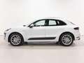 Porsche Macan 3.0d S 258cv TETTO Bianco - thumbnail 4