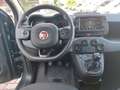 Fiat Panda 1.0 70cv E6D Hybrid CROSS - PREZZO SENZA VINCOLI Verde - thumbnail 8