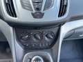 Ford C-Max C-Max 1.6 EcoBoost Trend Blu/Azzurro - thumbnail 12