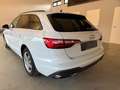 Audi A4 Avant 35 TDI LED/Temp/PDC/SHZ/Navi Blanc - thumbnail 4