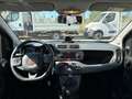 Fiat Panda 1.0 FIREFLY HYBRID 70CV Grigio - thumbnail 6