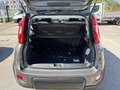 Fiat Panda 1.0 FIREFLY HYBRID 70CV Grigio - thumbnail 5