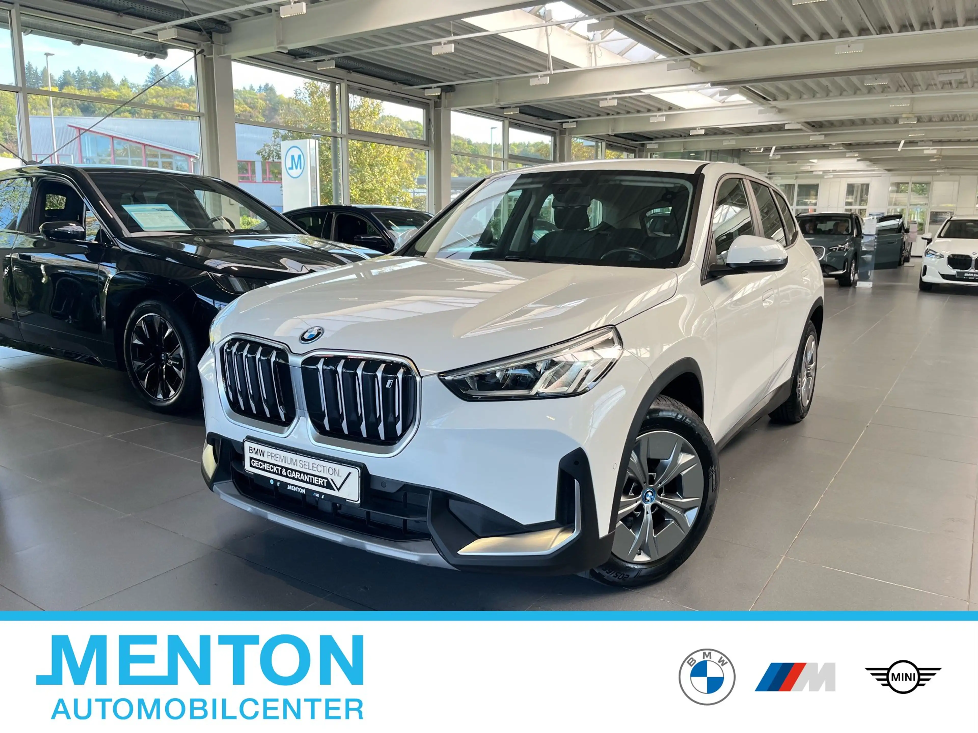 BMW iX1 xDrive30 DAB Parkassistent Shz