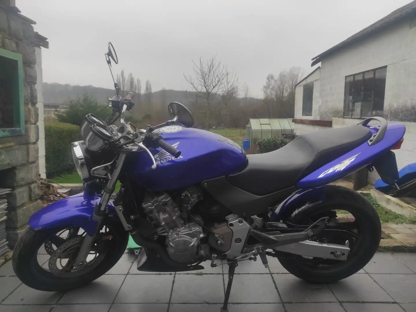 Honda Hornet Arrow Blau - 1