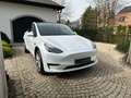 Tesla Model Y 60kWh Standard Range RWD foto's volgen! Blanc - thumbnail 1