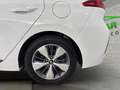Hyundai IONIQ PHEV 1.6 GDI Tecno Blanco - thumbnail 12