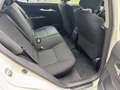 Toyota Auris 1.8 HSD 5 porte Executive Bianco - thumbnail 14