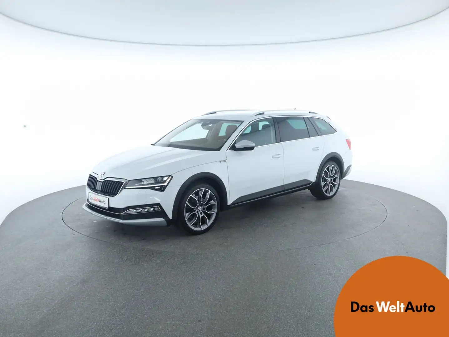 Skoda Superb 4x4 SCOUT TDI DSG Bianco - 1