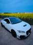 Audi TT RS TTRS / GRAIL AGA / X-PEL / Garantie bis 08/2027 Blanco - thumbnail 8